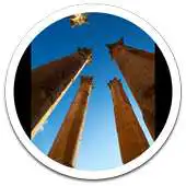Free play online Hd Images Roman Temple LWP APK