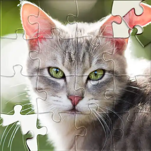 Play HD Jigsaw Puzzles Sorting Game APK Play HD Jigsaw Puzzles Sorting Game APK