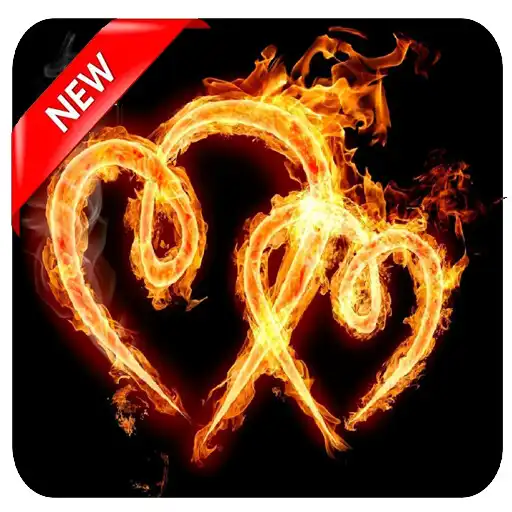 Free play online Hd Love Wallpaper APK