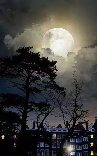 Play HD Mystic Night Live Wallpaper