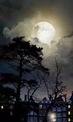 Play HD Mystic Night Live Wallpaper