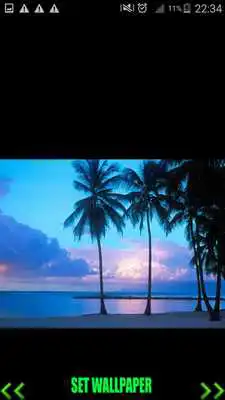 Play Hd Nature Wallpaper