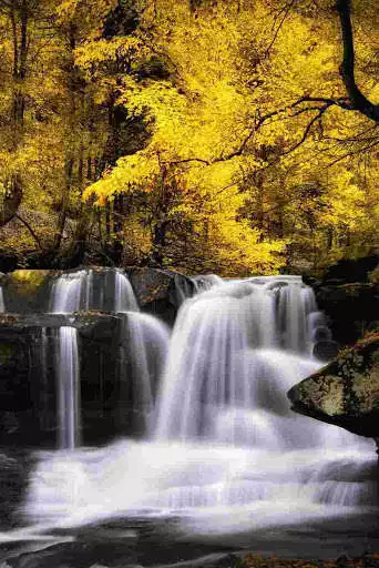 Play HD Nature Wallpapers (offline) as an online game online HD Nature Wallpapers (offline) with UptoPlay Play HD Nature Wallpapers (offline) as an online game HD Nature Wallpapers (offline) with UptoPlay