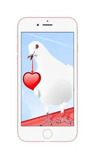 Play HD Pigeon Wallpaper as an online game HD Pigeon Wallpaper with UptoPlay