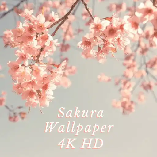 Play HD Sakura Wallpaper 4K APK Play HD Sakura Wallpaper 4K APK