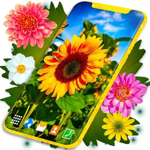 Play HD Summer Live Wallpaper APK Play HD Summer Live Wallpaper APK