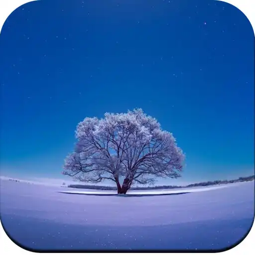Play HD Tree Wallpaper APK