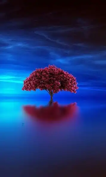 Play HD Tree Wallpaper and enjoy HD Tree Wallpaper with UptoPlay Play HD Tree Wallpaper and enjoy HD Tree Wallpaper with UptoPlay