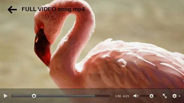 Play HD Video Player-Max Player