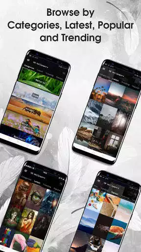 Play HD Wallpaper Background