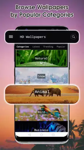 Play HD Wallpaper Background