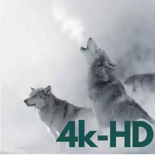 Run free android online Hd Wallpapers, 4K Backgrounds APK Run free android online Hd Wallpapers, 4K Backgrounds APK