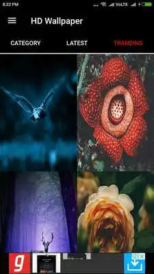 Play HD Wallpapers 4K - High Quality Backgrounds Play HD Wallpapers 4K - High Quality Backgrounds