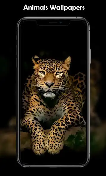 Play HD Wallpapers: All in one and enjoy HD Wallpapers: All in one with UptoPlay Play HD Wallpapers: All in one and enjoy HD Wallpapers: All in one with UptoPlay