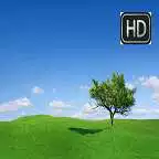 Free play online HD Wallpapers for Lenovo APK Free play online HD Wallpapers for Lenovo APK