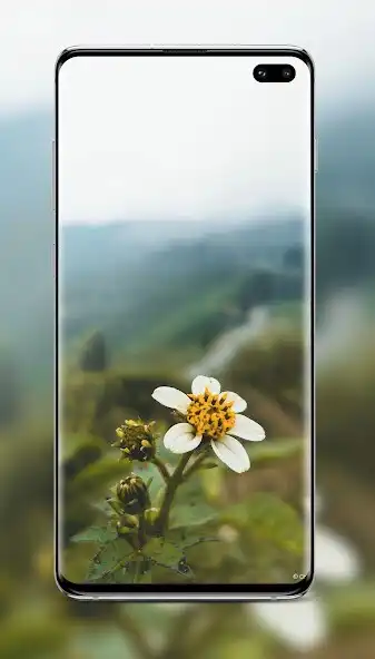 Play HD Wallpapers for Women  and enjoy HD Wallpapers for Women with UptoPlay