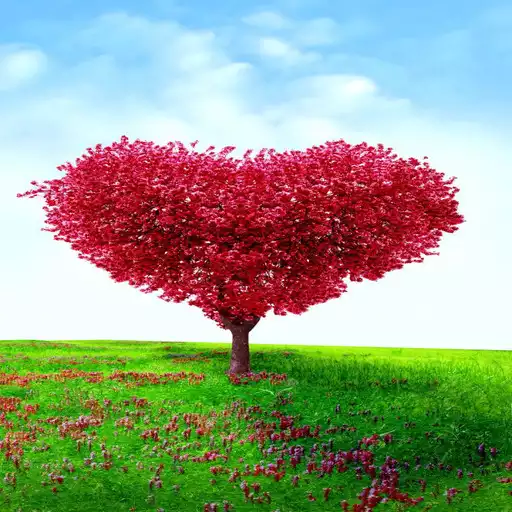 Play HD Wallpapers APK Play HD Wallpapers APK