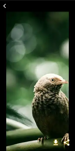 Play HD wallpapers Lock screen as an online game HD wallpapers Lock screen with UptoPlay