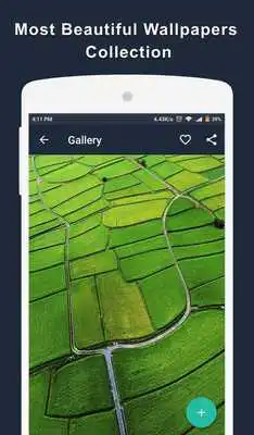 Play HD Wallpapers Plus