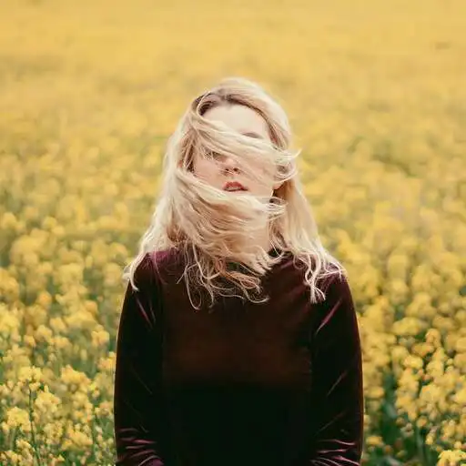 Play Hd Wallpapers (pro) APK Play Hd Wallpapers (pro) APK