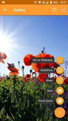 Play HD Wallpapers: Sunny