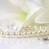 Free play online HD Wedding Wallpapers APK Free play online HD Wedding Wallpapers APK