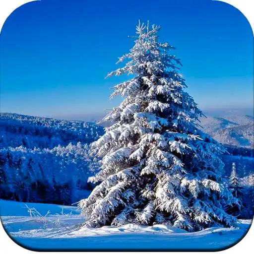 Free play online HD Winter Wallpaper APK