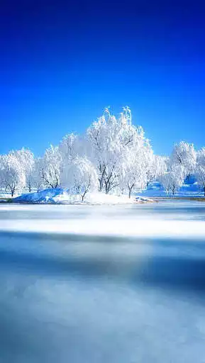 Play HD Winter Wallpaper