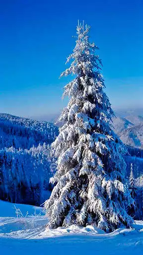 Play HD Winter Wallpaper