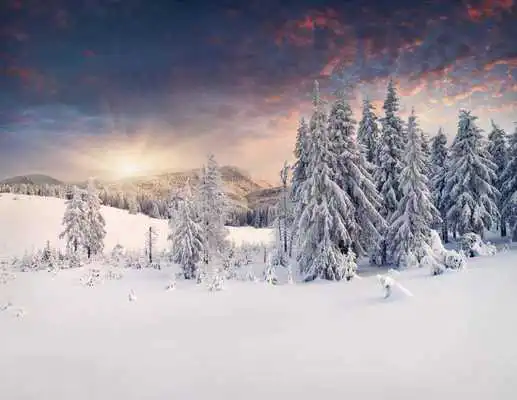 Play HD Winter Wallpaper