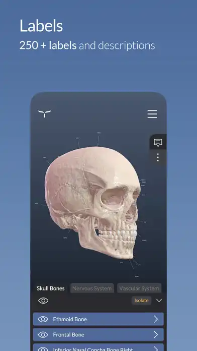 Play Head Atlas  and enjoy Head Atlas with UptoPlay
