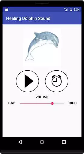 Play Healing Dolphin Sound
