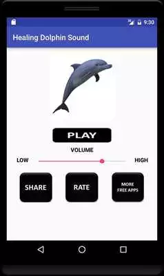 Play Healing Dolphin Sound