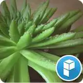 Free play online Healing Plants Launcher Theme APK