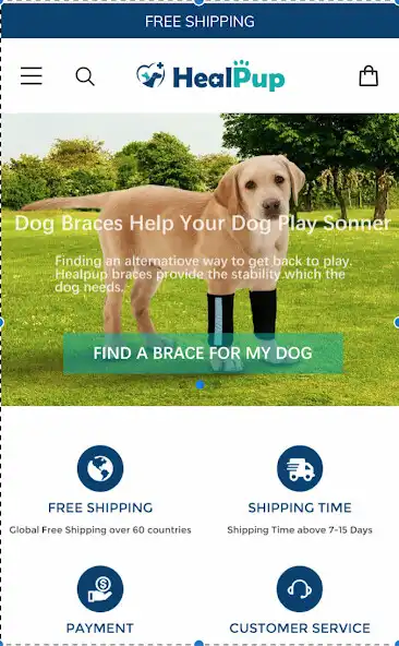 Play healpup Gplay  and enjoy healpup Gplay with UptoPlay