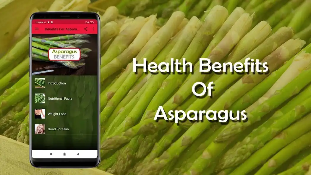 Play Health Benefits of Asparagus and enjoy Health Benefits of Asparagus with UptoPlay Play Health Benefits of Asparagus and enjoy Health Benefits of Asparagus with UptoPlay
