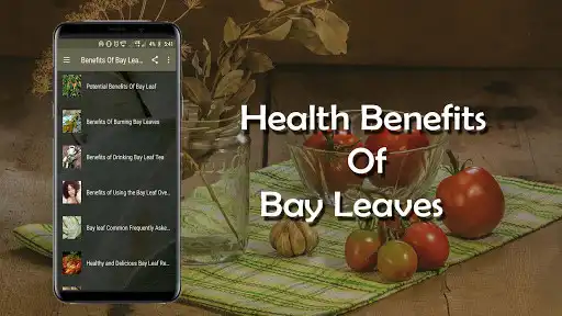 Play Health Benefits Of Bay Leaves and enjoy Health Benefits Of Bay Leaves with UptoPlay Play Health Benefits Of Bay Leaves and enjoy Health Benefits Of Bay Leaves with UptoPlay
