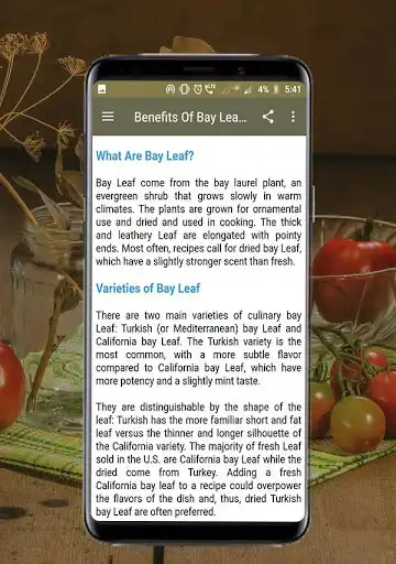 Play Health Benefits Of Bay Leaves as an online game online Health Benefits Of Bay Leaves with UptoPlay com.healthybytes.bayleaves.bayleavesbenefits Play Health Benefits Of Bay Leaves as an online game Health Benefits Of Bay Leaves with UptoPlay