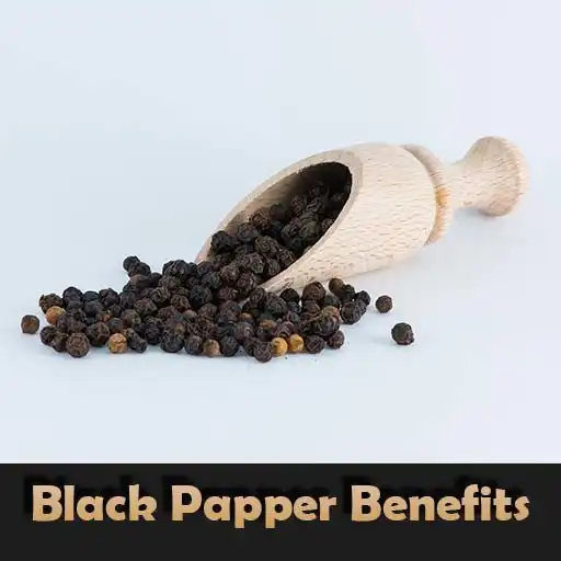 Play Health Benefits Of Black Pepper APK
