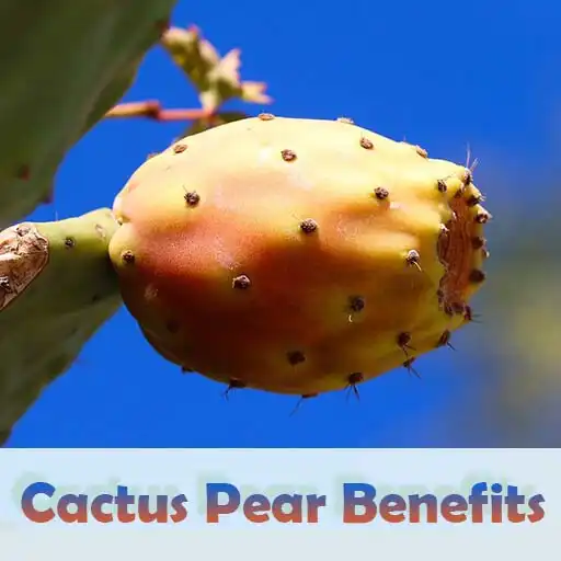 Play Health Benefits of Cactus Pear APK