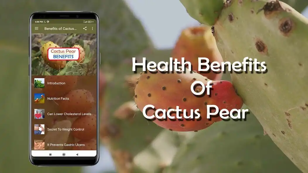 Play Health Benefits of Cactus Pear  and enjoy Health Benefits of Cactus Pear with UptoPlay