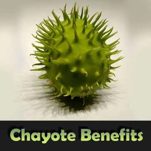 Play Health Benefits of Chayote APK Play Health Benefits of Chayote APK