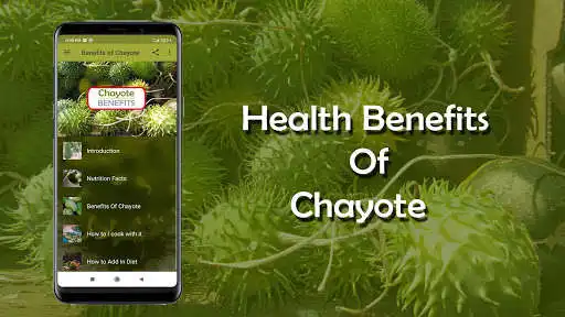 Play Health Benefits of Chayote  and enjoy Health Benefits of Chayote with UptoPlay