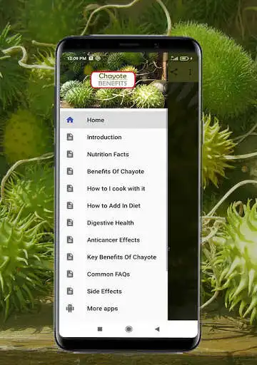 Play Health Benefits of Chayote as an online game Health Benefits of Chayote with UptoPlay