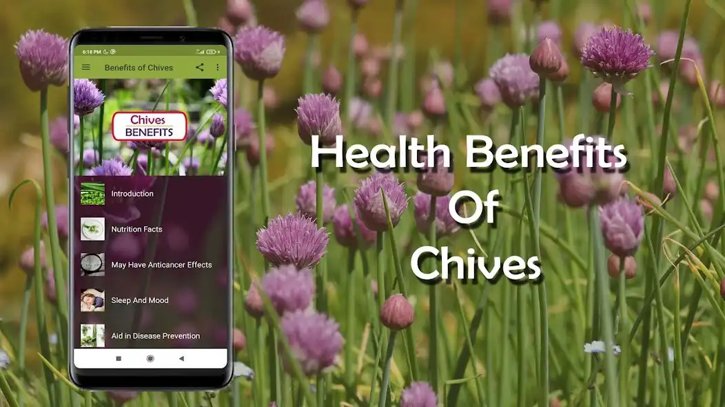 Play Health Benefits of Chives  and enjoy Health Benefits of Chives with UptoPlay