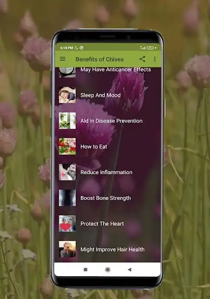 Play Health Benefits of Chives as an online game Health Benefits of Chives with UptoPlay