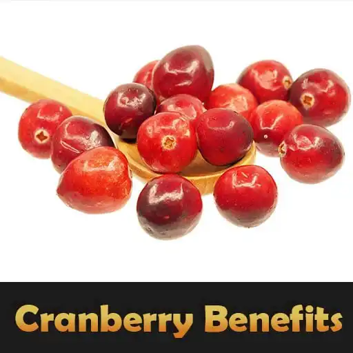 Play Health Benefits Of Cranberry APK Play Health Benefits Of Cranberry APK