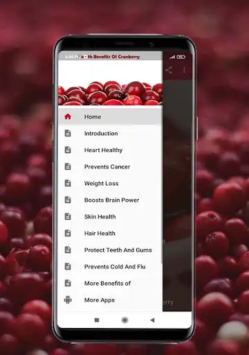 Play Health Benefits Of Cranberry as an online game Health Benefits Of Cranberry with UptoPlay