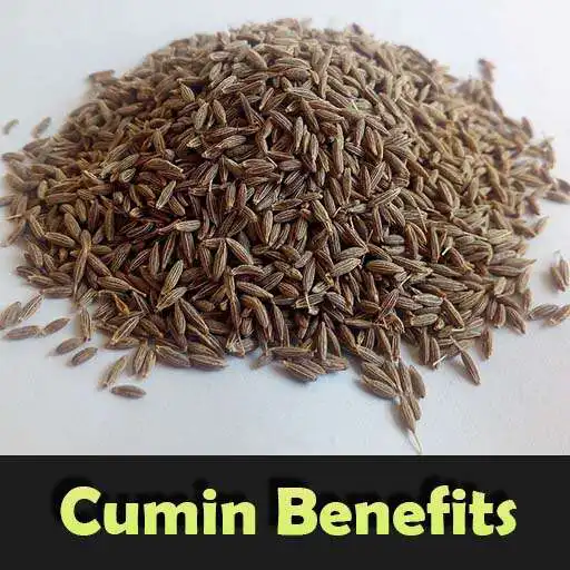 Play Health Benefits Of Cumin APK Play Health Benefits Of Cumin APK