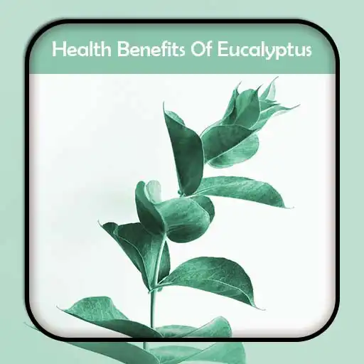 Play Health Benefits Of Eucalyptus APK